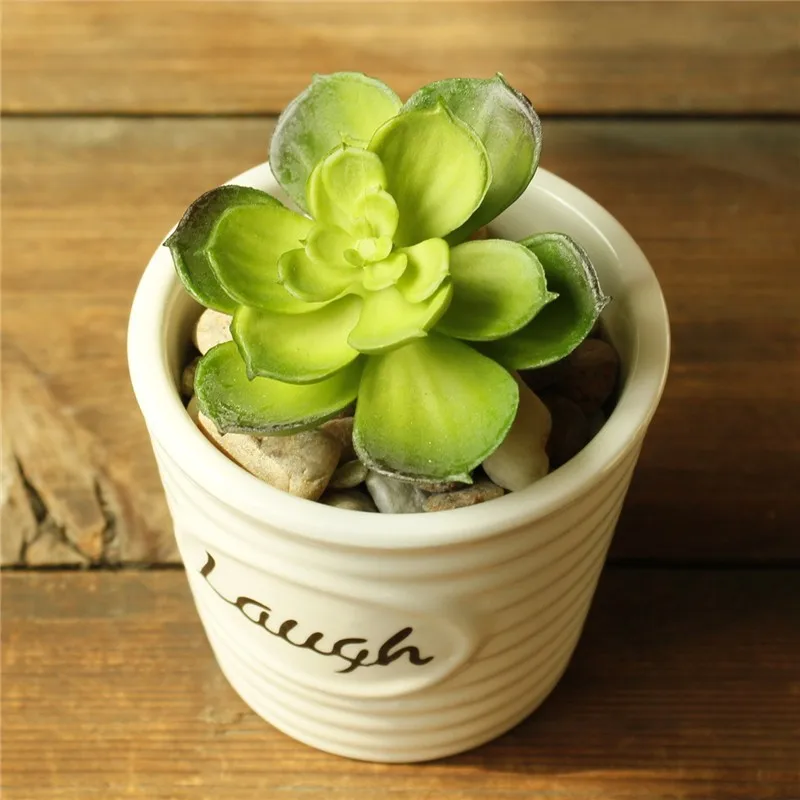 Белые фарфоровые горшки цветочный горшок с английскими буквами суккуленты