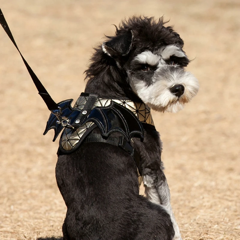 Шлейка для собак с золотым Драконом ошейник крыльями дьявола костюмы маленьких