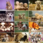 SDOYUNO Раскраска по номерам собака Животные комплекты, украшение для дома фото картина по номерам Холст Картины Ручная роспись искусство подарок