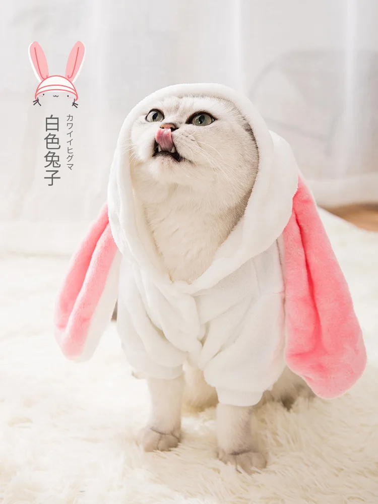 Зимние рождественские костюмы для кошек забавные модные маленьких домашних