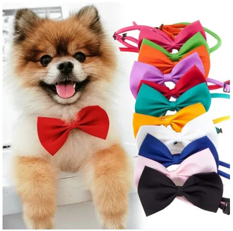 

Cats and dogs bow tie collar flowers Dog accessories Cat accessories