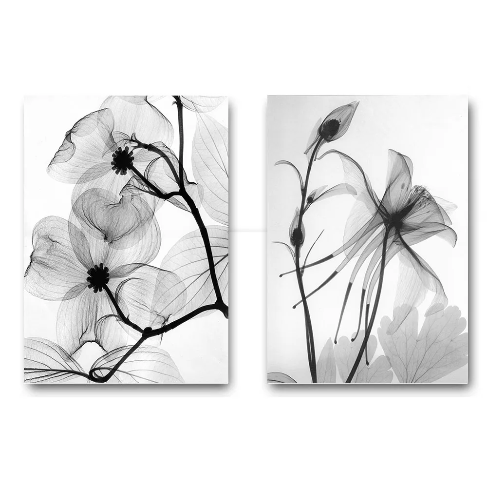Скандинавские черно-белые растения Абстрактный Цветочный Холст Плакаты на