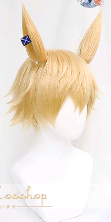 

Arknights Leonhardt Cosplay Wig 28cm Short Heat Resistant Synthetic Hair Party Wigs