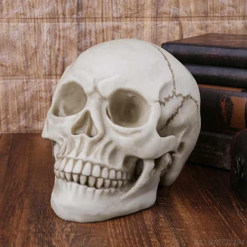 

Resin Art Human Skull Replica Teaching Model Realistic 1:1 Adult Size N27 20 Dropshipping