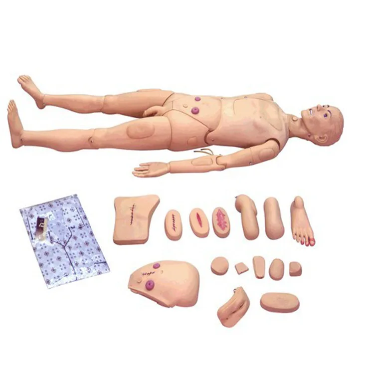 

Supply Advanced Full-featured Nursing Training Simulator (male) Nursing Training Humanbody Model Behavior Specialist