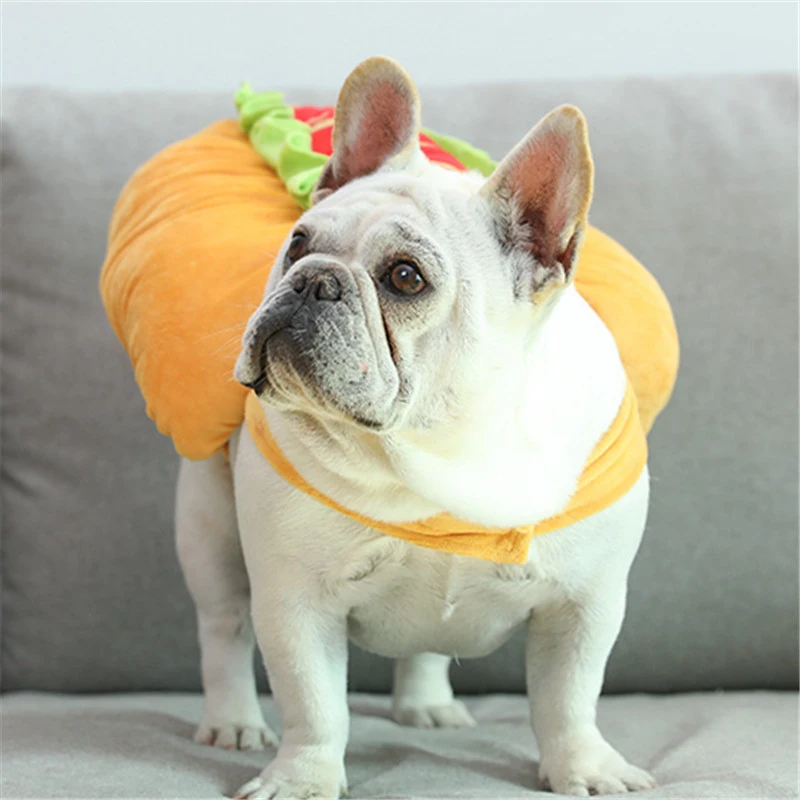 Смешная одежда для собак французская бульдога зимнее пальто домашних животных