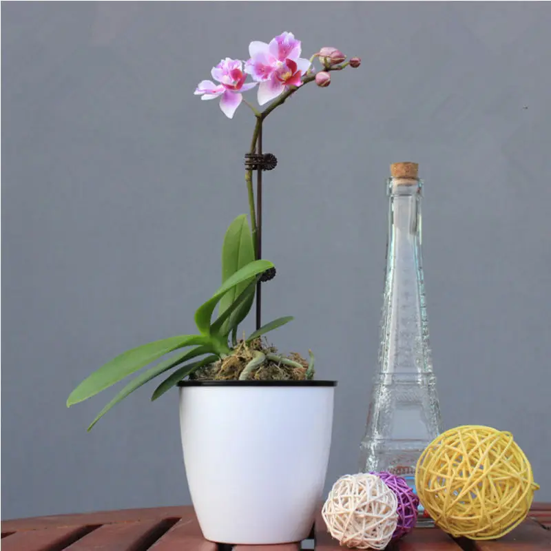20pcs Plant Support Clips Garden Clips Flower Orchid Stem Clips for Vine Support Farm Flowers TomatoTied Bundle Branch Clamping