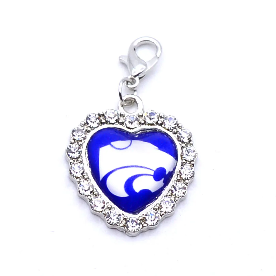 Подвески Университет Национальная организация студенческого спорта дикие кошки