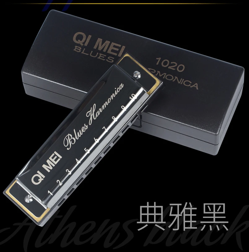 1020 Blues Harmonica Key of C 10 Holes 20 Tunes Diatonic Harp Mouthorgan with Cleaning Cloth and Storage Box | Спорт и развлечения
