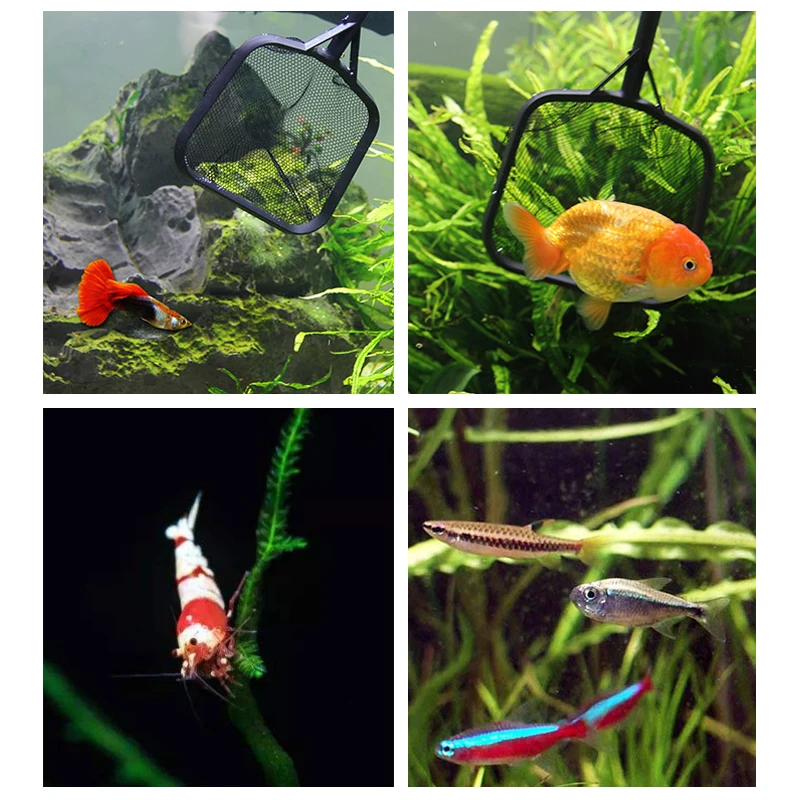 

Aquarium Cover Fish Tank Aquarium Airstone Fish Tank Set Fish Tank Fish-Catching Net Fishing Aquarium Dip Net Fish Catching Net