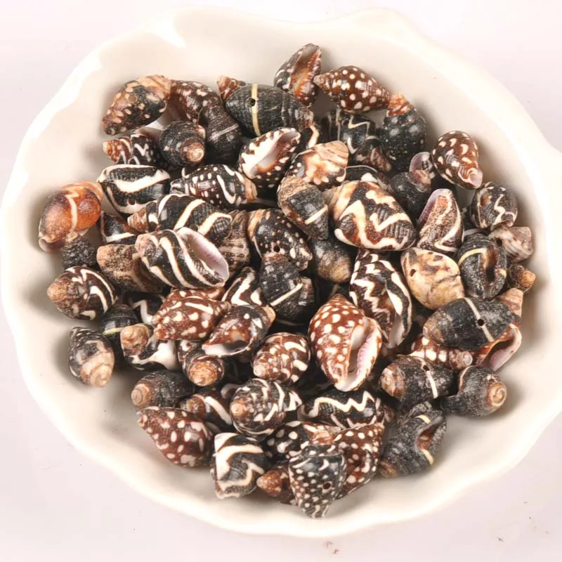 Ракушка спиральная с одним отверстием 12-18 мм 20 шт. | Дом и сад