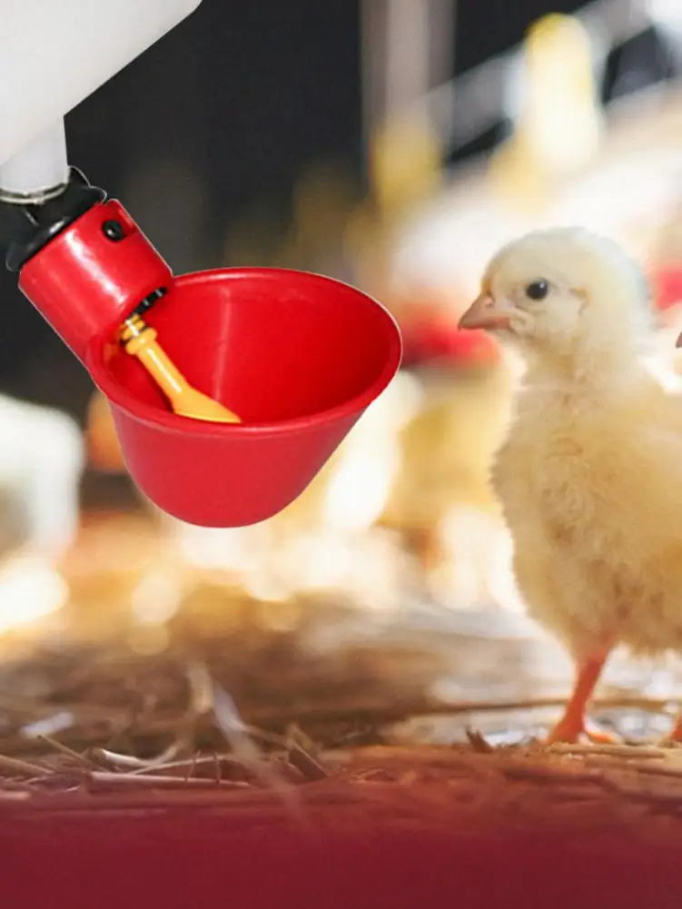 5 шт. автоматическая поилка для птицы с винтами|Кормление птиц| |