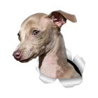 S41039 # различные размеры самоклеящиеся наклейки Забавные милые Greyhound автомобильные наклейки водонепроницаемые Автомобильные украшения на бампер заднее окно