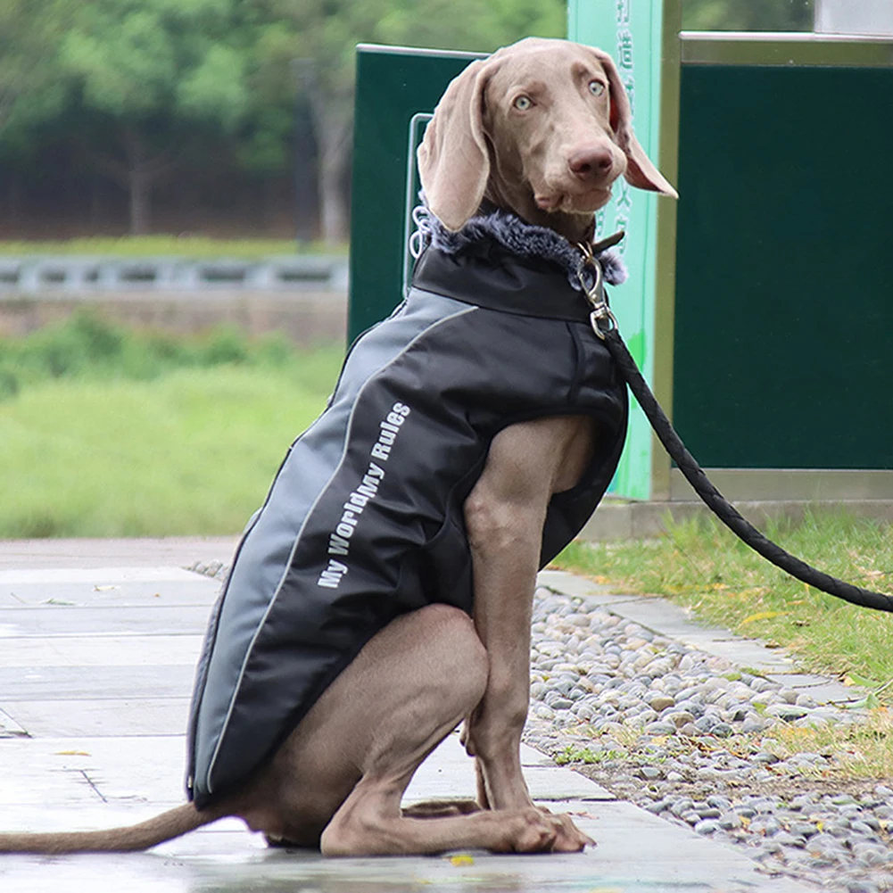 

Dog Warm Plush Clothes Waterproof Jacket with Reflective Design Anti-Falling Buckle Clothes Pet Accessories