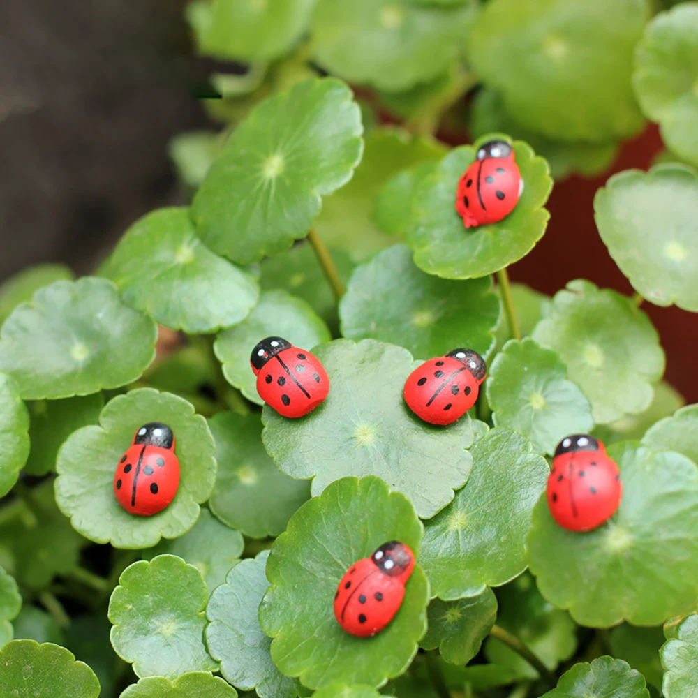 

50pcs Mini Wooden Ladybug Miniatures Garden Decoration Self Adhesive Reptiles Amphibians Habitat Ornaments Micro Landscape