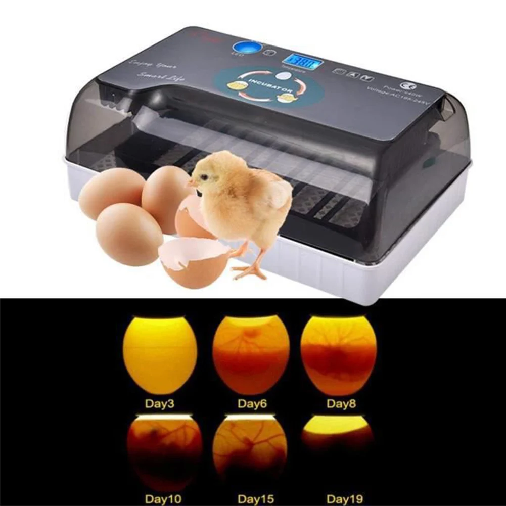 

220V Farm Hatchery Incubator Brooder Machine 12 Eggs Hatchers Bird Quail Brooder Chick Chicken Automatic Egg Incubator EU Plug