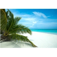 colorful print wall tapestry beach scenery tapestry m555