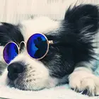 Новые многоцветные очки для милых кошек, товары для домашних животных, аксессуары для фотографий, классные очки для домашних животных, солнцезащитные очки для маленьких собак и щенков
