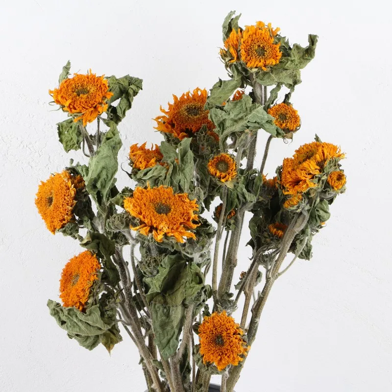 

Ins Natural Air-Dried Eternal Sunflower Bouquet For Wedding Christmas Home Party Decoration Photography Backdrop Accessories