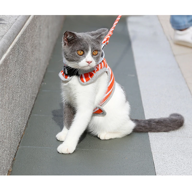 Жилет с капюшоном для собак полосатая шлейка и поводок щенков кошек куртка