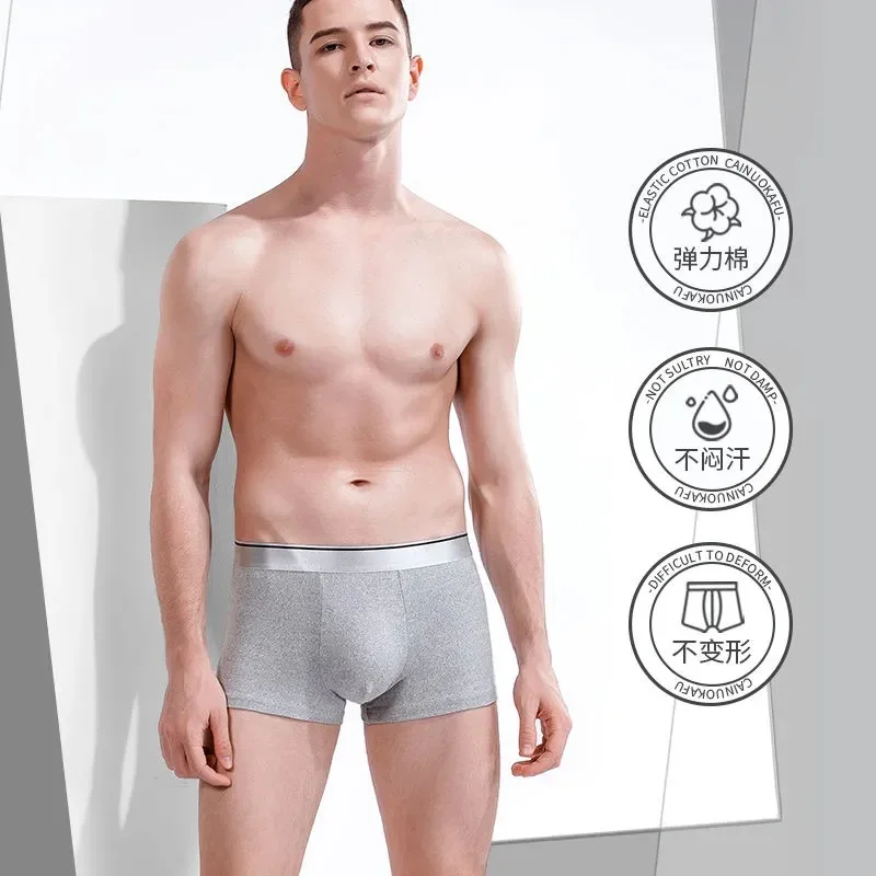 Men Boxer Men's Panties Men Underwear Boxers Boxer Shorts Boxershorts Solid Breathable Underpants Plus Size Sexy Shorts L-5XL