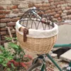 Изображение товара 0