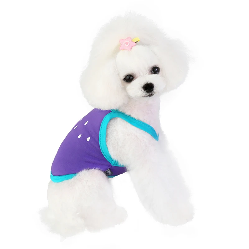 Одежда для домашних животных собак розовый зеленый арбуз красный собака кошка