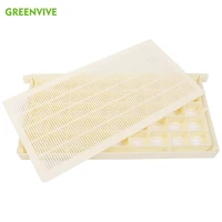 plastic beehive frame queen bees storer queen bee cage frame queen rearing for qeen bee storage and transportation
