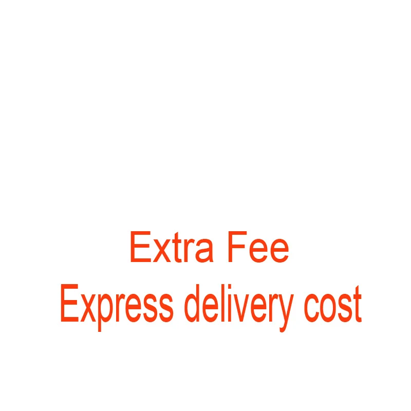 express delivery fee |