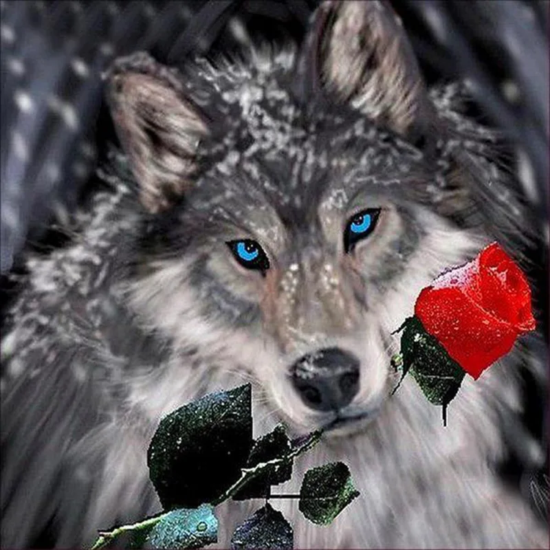 

5D DIY Full Square Round Resin Diamond Painting Wolf and Rose Cross Stitch Embroidery Mosaic New Arrival Wall Home Decoration