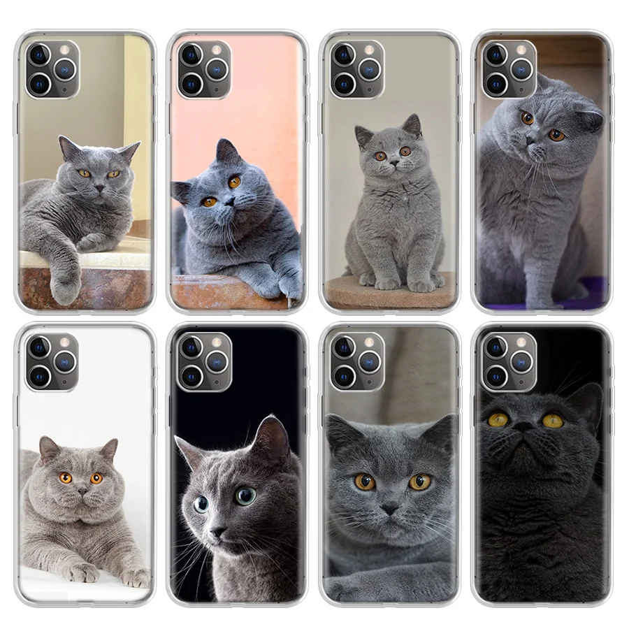 

British Shorthair Cat Phone Case For Apple iPhone 11 13 Pro 12 Mini SE X XR XS Max 6 6S 7 8 Plus Pattern Soft TPU Back Cover
