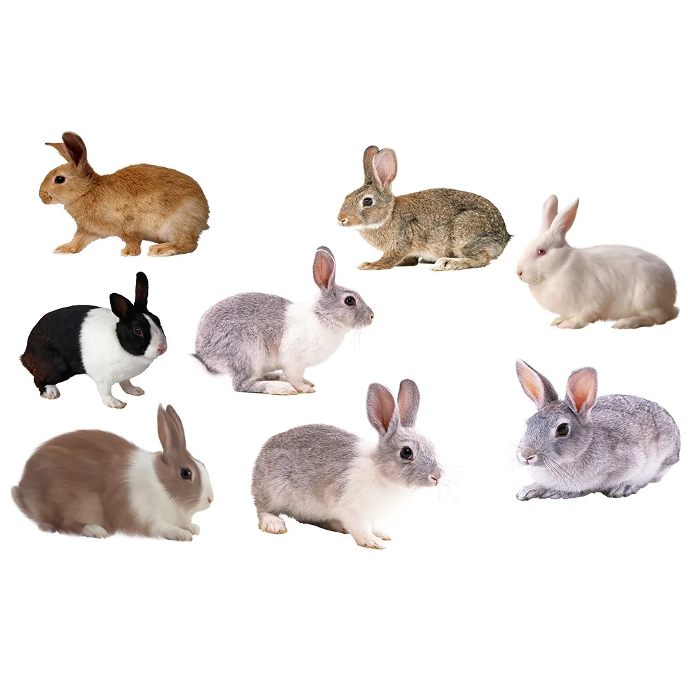 

A Variety Of Shapes Rabbit Wall Stickers Living Room Bedroom Children's Room Decorative Wall Stickers KSR-17