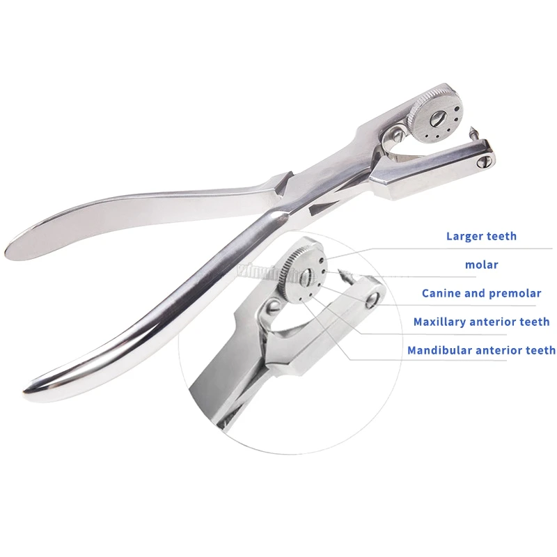 Dental Rubber Perforator Puncher Teeth Care Pliers Dentist Lab Device Instrument Equipment | Красота и здоровье