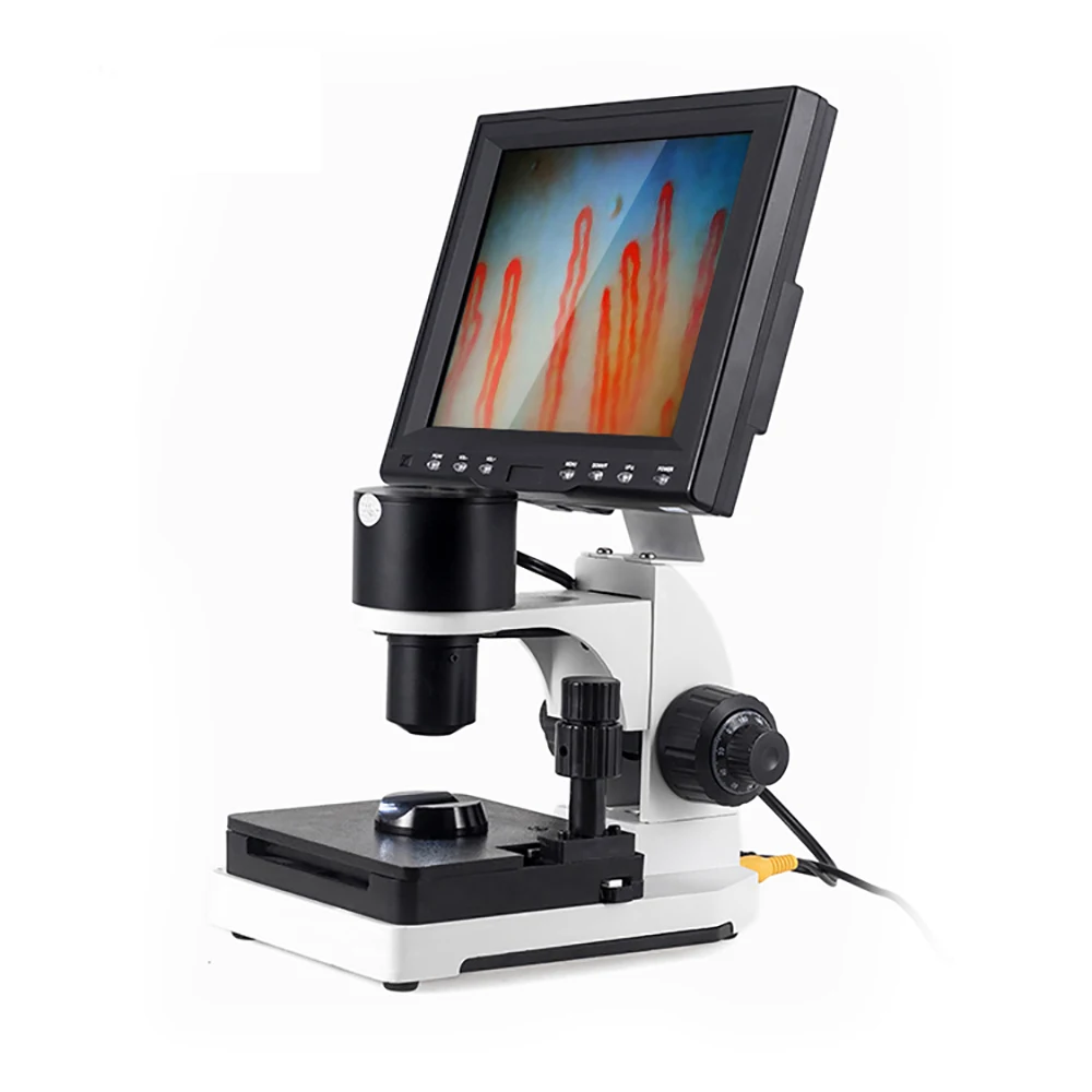 

2023 Latest Nailfold Video Capillaroscope Detection Instrument Microcirculation Microscope