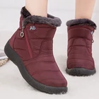 Зимние ботинки для женщин 2021, теплые ботинки на толстой плюшевой подкладке, женские удобные уличные ботильоны на молнии, Повседневная хлопковая обувь