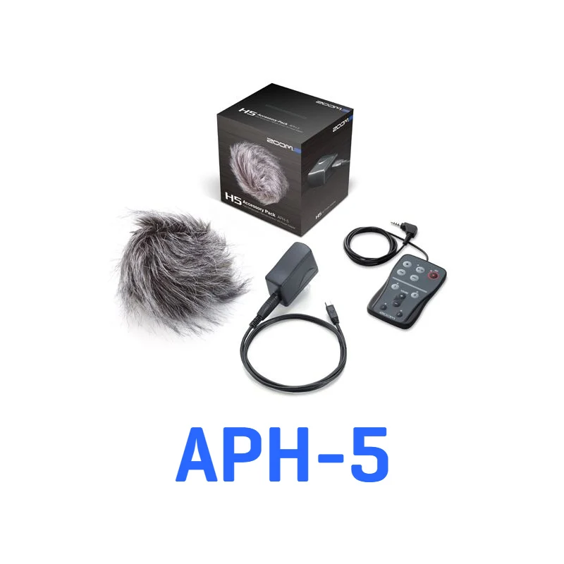 

Hot In stock ZOOM H5 professional handheld digital recorder Four-Track Portable Recorder H4N upgraded version Recording pen