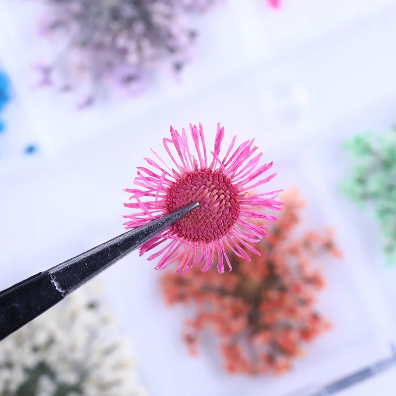 1 коробка розовый желтый фиолетовый смешанные цвета сохраненный свежий