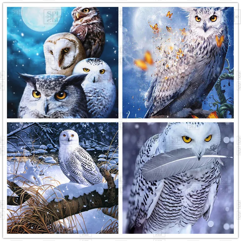 

Diamond Painting Owl Animal Winter Home Decoration Is Suitable for Various Decoration Styles