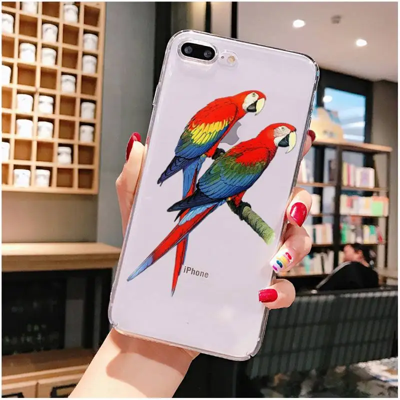 Бабетта Милый Попугай чехол для телефона iPhone X XS MAX 6 6s 7 7plus 8 8Plus 5 5S SE 2020 XR 11 11pro max Clear