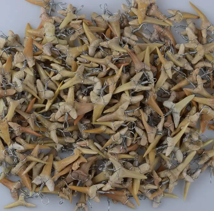 Горячая Распродажа A + кулон с натуральным акульим зубом энергетический apotropaic 1 г-3