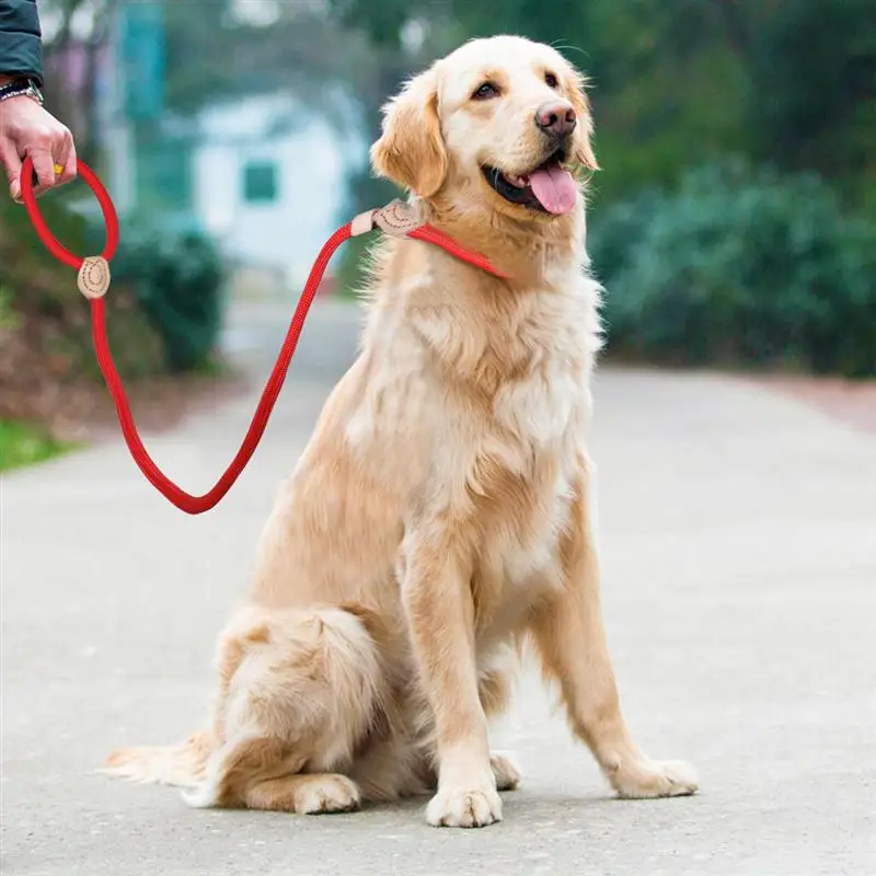 UEETEK Dog Pet Training Lead Durable Leash for Large Dogs Medium-sized | Дом и сад