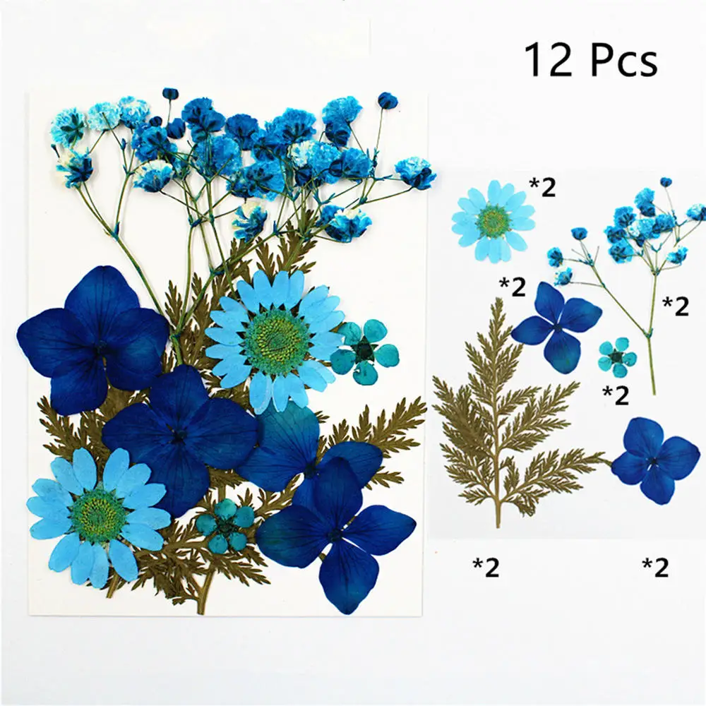 

72pcs/Set Facial Makeup Kit Natural Dried Flowers Leaves Petals for Crafts Leaves Set Dried Flowers for Resin Art Floral Decors