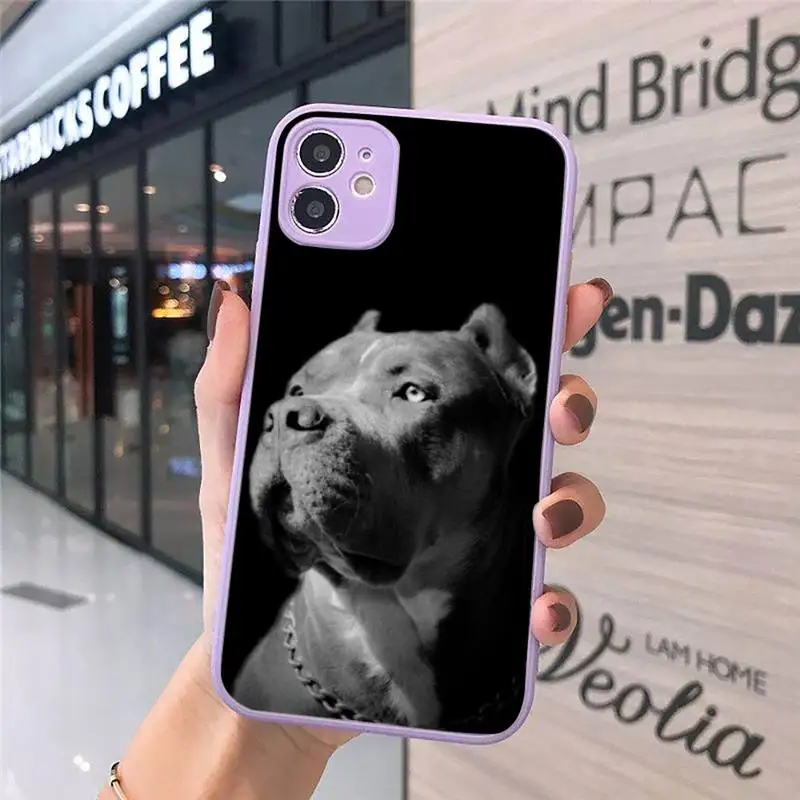 

Black White Pit Bull Lovely Pet Dog Phone Case For iPhone 12 11 Mini Pro XR XS Max 7 8 Plus X Matte transparent