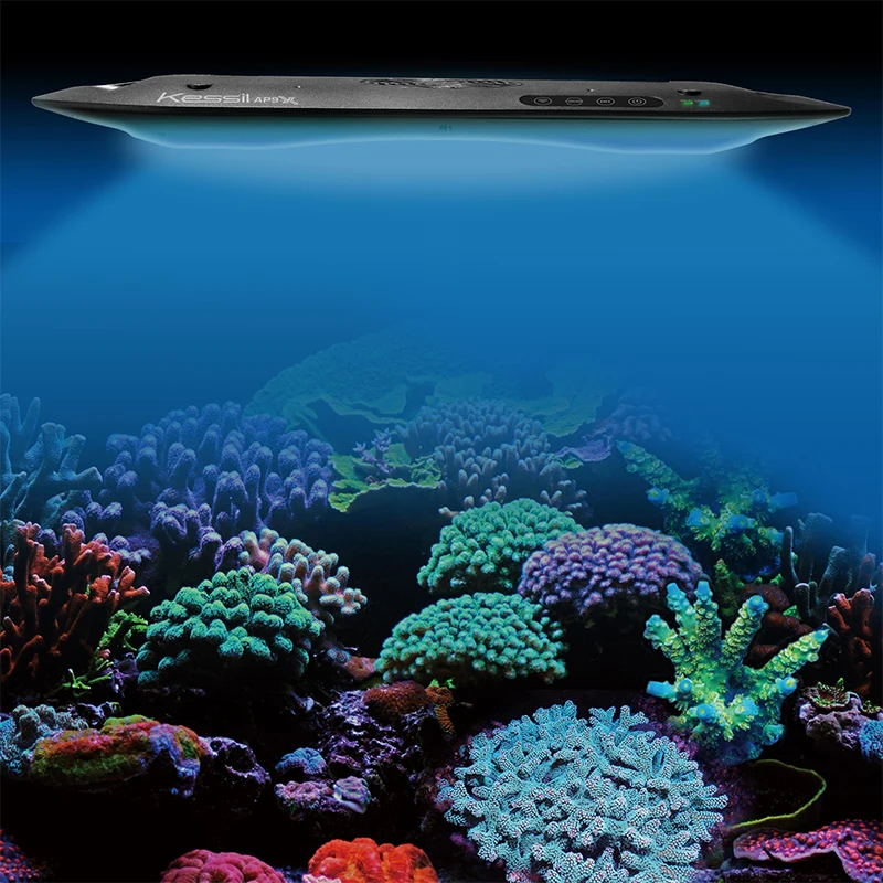 저렴한 미국 산호 램프 신 램프 Kessil 바다 물 실린더 AP9X 바다 실린더 램프 LED 새로운 조명 램프 바다 실린더