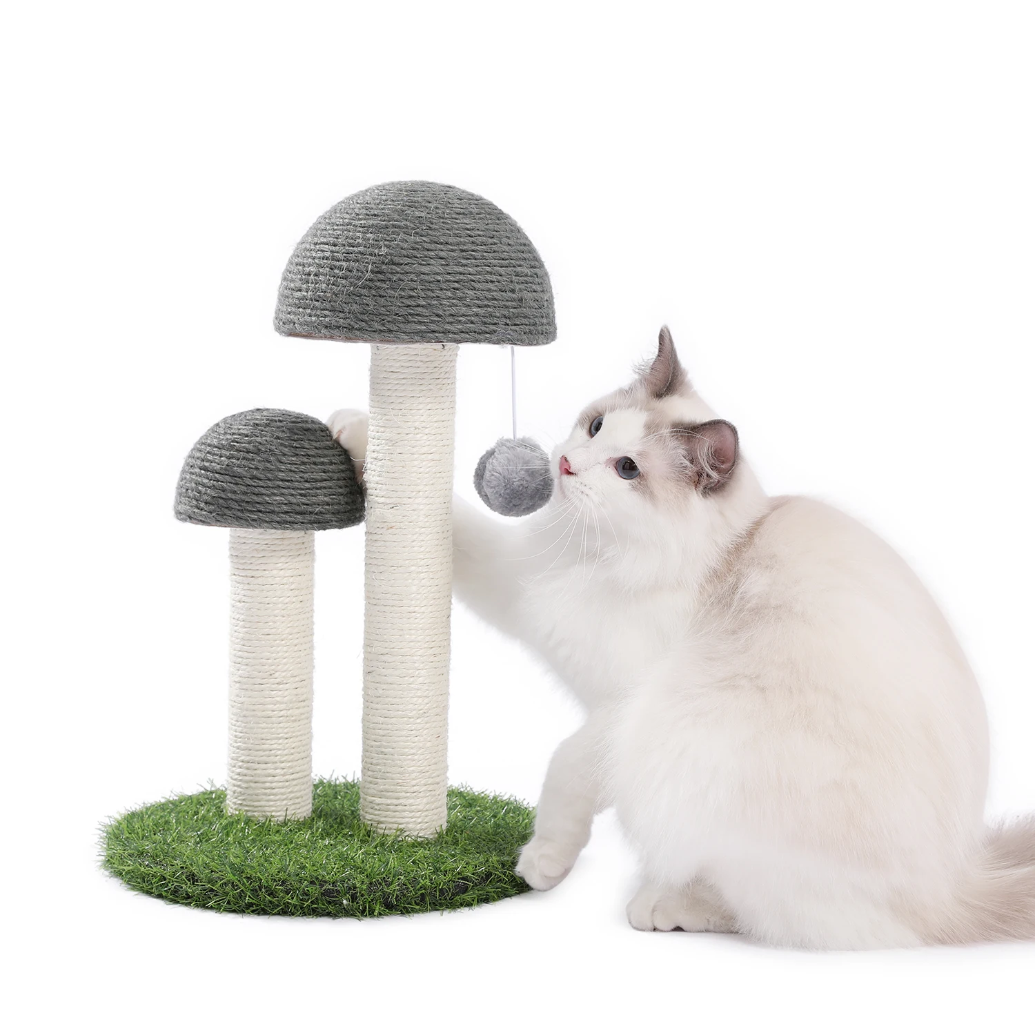 Local Domestic Delivery Cat Climbing Frame Scratching Post Tree Scratcher Furniture Gym House Toy Jumping Training | Дом и сад