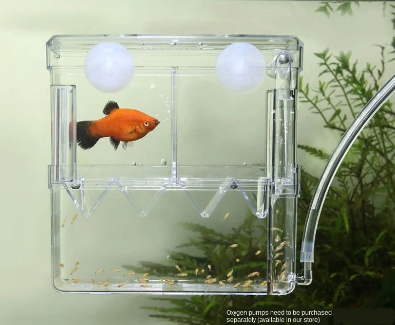 Коробка для размножения аквариума изолирующая коробка секрегатор декоративная