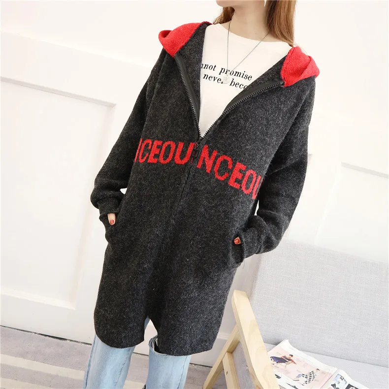 Autumn Hooded Jacket Female Sweater 2019 Long Sleeve Loose Cardigan Women Casual Pocket Zipper Knit Outwear |