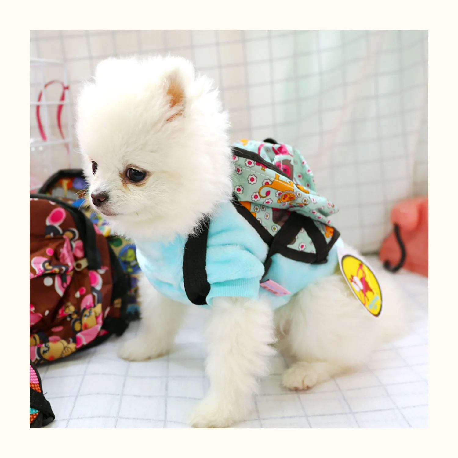 Petcircle горячая Распродажа милый многоцветный рюкзак для собак удобный и
