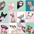 5D DIY Алмазная краска ing Kit животное мультяшная Сова свинья ленивый бульдог полный квадратный и Круглый Вышивка мозаика вышивка крестиком Декор краски