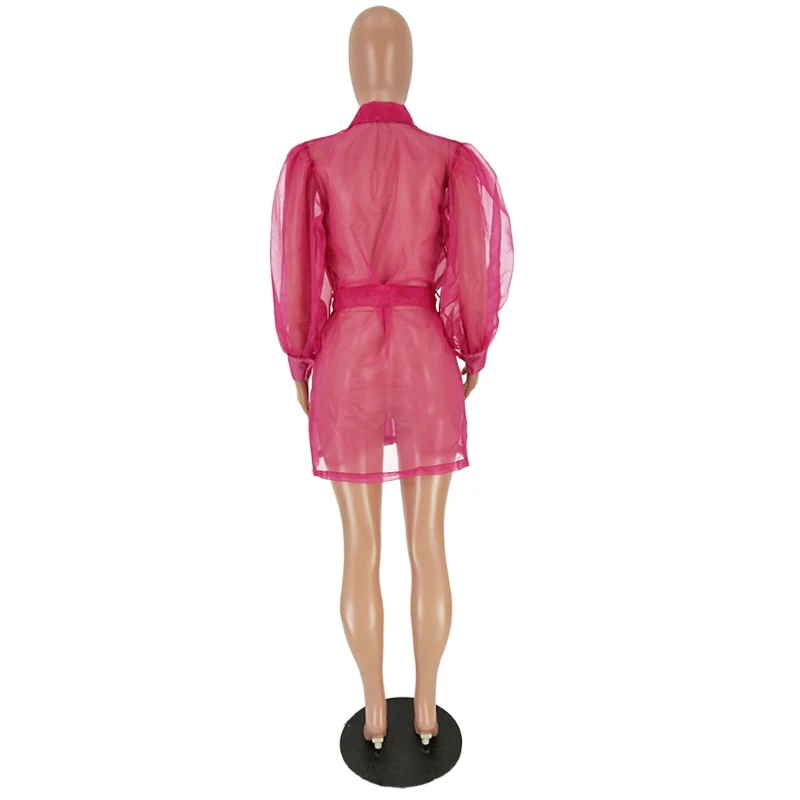 Пышные рукава из одноцветной сетчатой ткани пальто для женщин прозрачная